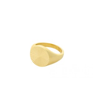 Pernille Corydon Ocean Star Signet ring - forgyldt sølv